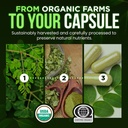 omnibiotics-organic-moringa-capsules-100-5.jpg