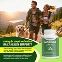 moringa-capsules-natural-green-superfood-6.jpg