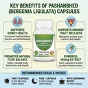pashanabheda-bergenia-ligulata-powder-ca-5.jpg