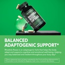 rhodiola-rosea-capsules-120-count-mental-4.jpg