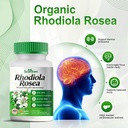 rhodiola-rosea-supplement-rhodiola-rosea-5.jpg