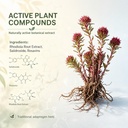 rechiva-rhodiola-rosea-supplement-rhodio-4.jpg