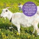 zoxy-goat-colostrum-capsules-grass-fed-r-6.jpg