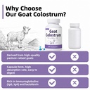zoxy-goat-colostrum-capsules-grass-fed-r-4.jpg