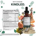 kindled-thyroid-support-drops-selenium-z-2.jpg