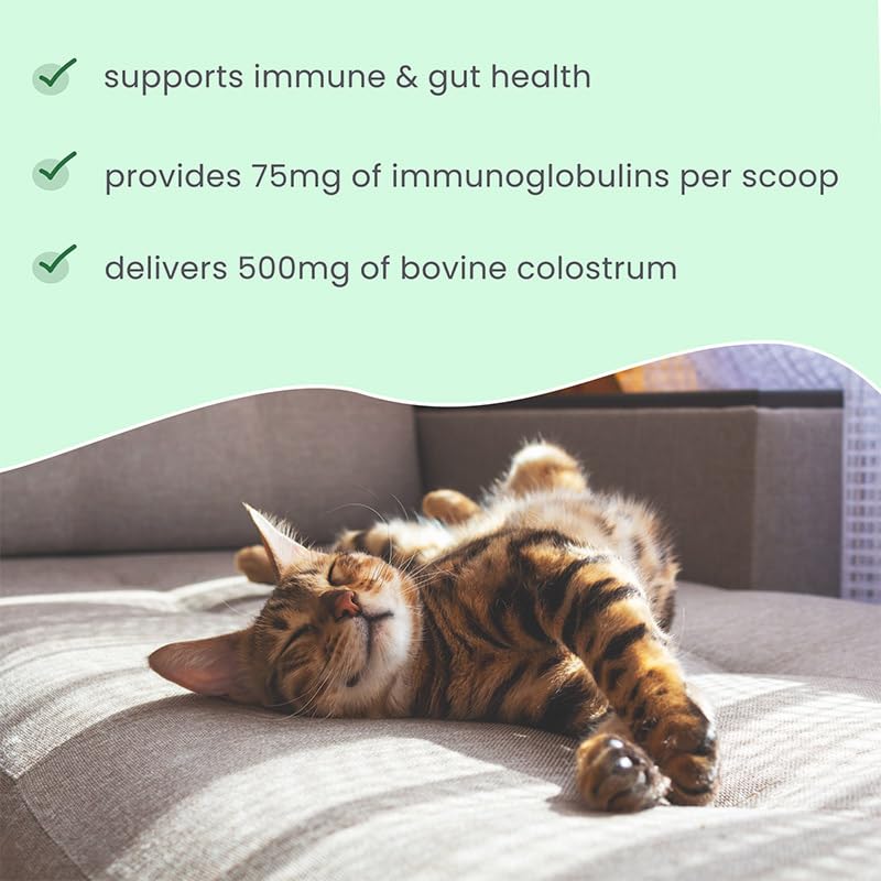 dr-mercola-bark-whiskers-new-zealand-col-6.jpg