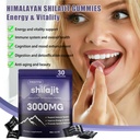 pure-himalayan-shilajit-gummies-for-men--6.jpg