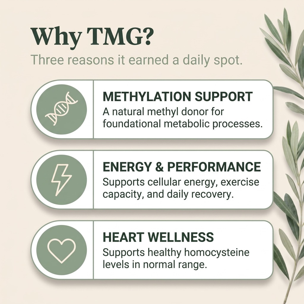 tmg-supplements-trimethylglycine-as-beta-3.jpg