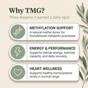 tmg-supplements-trimethylglycine-as-beta-3.jpg