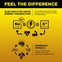 lmnt-zero-sugar-electrolytes-lemonade-ic-5.jpg