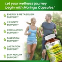 moringa-capsules-the-real-green-freeze-d-6.jpg