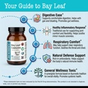 dr-wakde-s-bay-leaf-capsules-cinnamomum--5.jpg