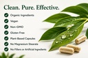 green-organic-supplements-lyme-disease-i-6.jpg