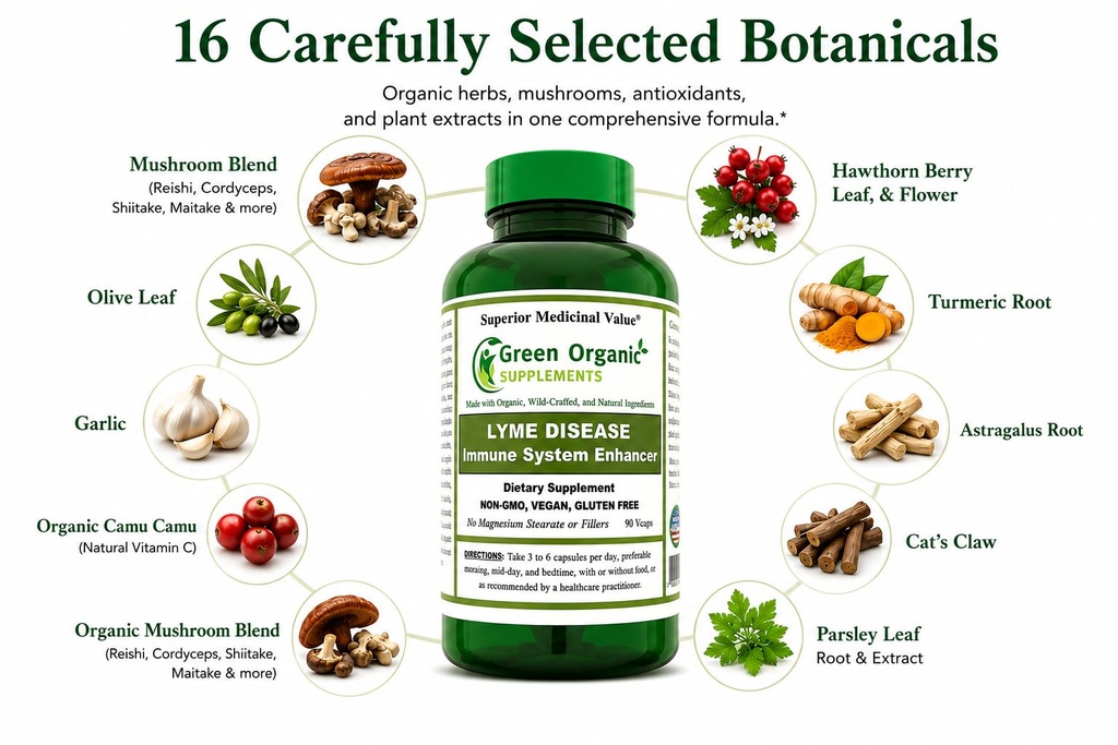 green-organic-supplements-lyme-disease-i-2.jpg