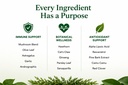 green-organic-supplements-lyme-disease-i-3.jpg