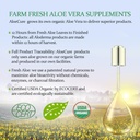 aloecure-veraflex-natural-joint-health-s-6.jpg