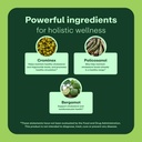 wellwithall-cholesterol-support-suppleme-2.jpg