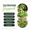 sulforaphane-complex-with-200mg-dim-supp-3.jpg