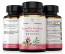 florida-herbal-pharmacy-pao-pereira-rauw-4.jpg