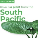 leilo-kava-powered-sparkling-relaxation--3.jpg