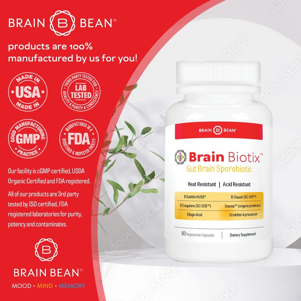 brain-bean-brain-biotix-gut-and-brain-sp-5.jpg
