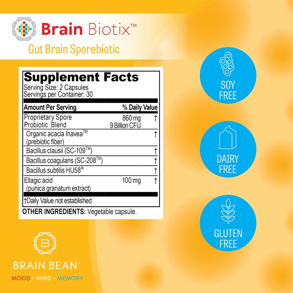 brain-bean-brain-biotix-gut-and-brain-sp-4.jpg