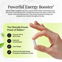 nad-longevity-booster-supplement-bioener-4.jpg