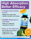 terranics-magnesium-complex-500mg-glycin-3.jpg