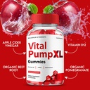 vital-pump-xl-gummies-vital-pump-xl-supp-3.jpg