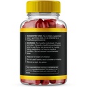 2-pack-alpha-bites-gummies-alphabites-7--2.jpg