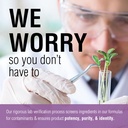 solaray-andrographis-600mg-immune-suppor-5.jpg