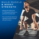 muscletech-muscle-builder-with-400mg-pea-3.jpg