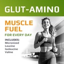mfl-muscle-glut-amino-glutamine-complex--3.jpg