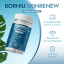 borniu-skinrenew-probiotic-for-gut-and-s-2.jpg