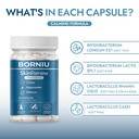 borniu-skinrenew-probiotic-for-gut-and-s-4.jpg