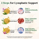 migcopat-26-in-1-liposomal-lymphatic-dra-3.jpg