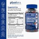 creatine-monohydrate-gummies-sugar-free--2.jpg