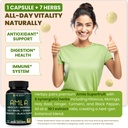 herbpy-7in1-amla-superfruit-extract-supp-3.jpg