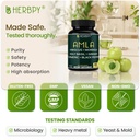 herbpy-7in1-amla-superfruit-extract-supp-5.jpg