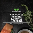 omega-3-fish-oil-multivitamin-virtual-bu-5.jpg