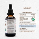 secrets-of-the-tribe-boneset-usda-organi-4.jpg