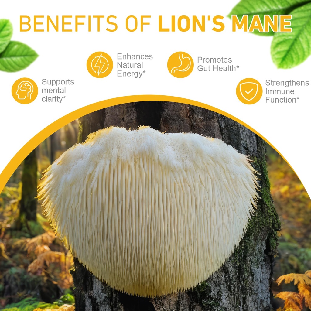 2-pack-lions-manemushroom-drops-brain-su-3.jpg