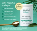 algaecal-bone-builder-vitamin-d3-collage-3.jpg