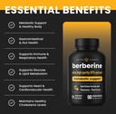nutrachamps-complete-metabolic-circulato-6.jpg