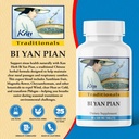 kan-herbs-company-bi-yan-pian-traditiona-2.jpg