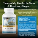 kan-herbs-company-bi-yan-pian-traditiona-3.jpg
