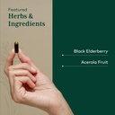 gaia-herbs-pro-black-elderberry-pro-supp-4.jpg