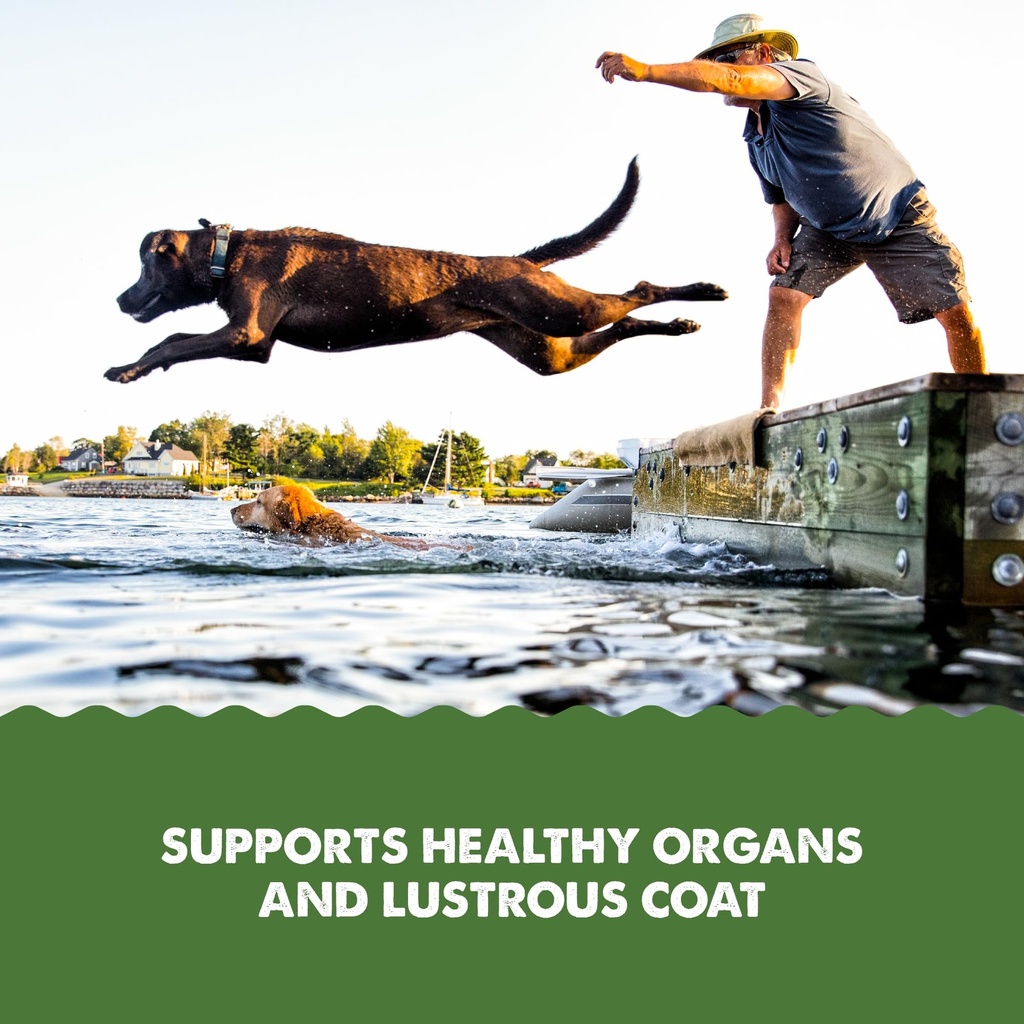 grizzly-pet-products-algal-plus-omega-3--5.jpg