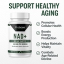 probase-nutrition-nad-supplement-500mg-h-4.jpg