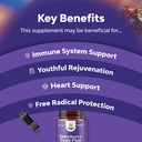 black-elderberry-capsules-antioxidant-su-4.jpg